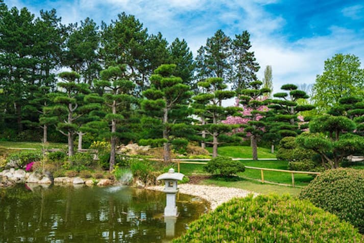 Taman Kering dengan Jalan Setapak